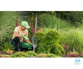 Why Professional Landscaping Services Melbourne Deliver Better Outdoor Results