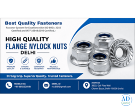 High Quality Flange Nylock Nuts Delhi