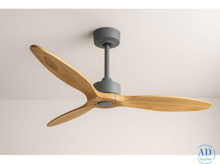 Premium Visual Appeal Designer Fan
