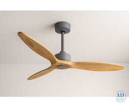 Premium Visual Appeal Designer Fan