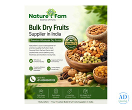 Bulk Dry Fruits Supplier in India – Premium Wholesale Dry Fruits | Naturefam