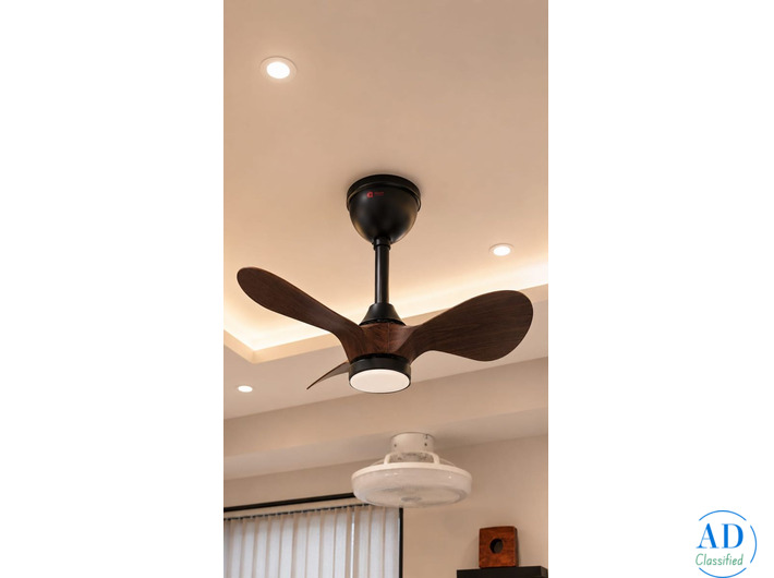 Decorative Designer Ceiling Fan