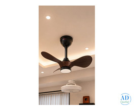 Decorative Designer Ceiling Fan