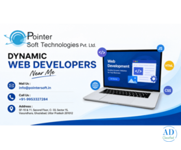 dynamic web developers near me