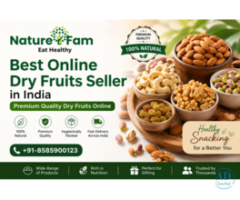Best Online Dry Fruits Seller in India Premium Quality Dry Fruits Online Naturefam