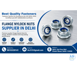 Flange Nylock Nuts Supplier in Delhi