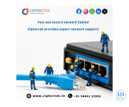 Professional Network Management Solutions in Chennai