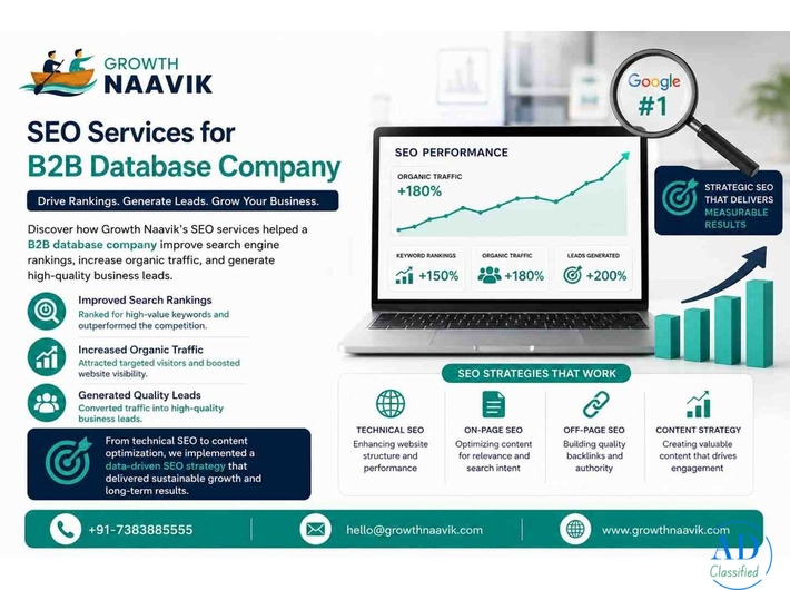 SEO Solutions for B2B Database Companies | Growth Naavik