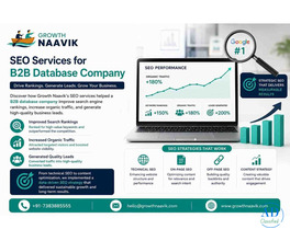 SEO Solutions for B2B Database Companies | Growth Naavik