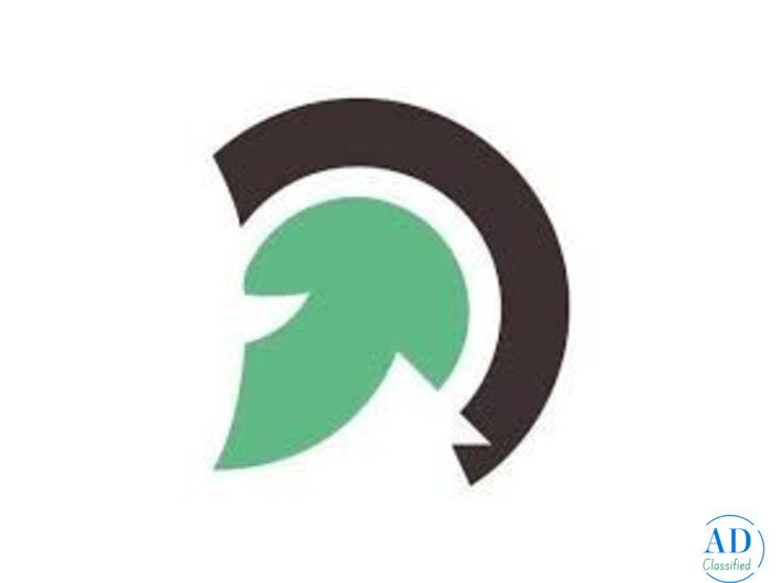 Top web development company