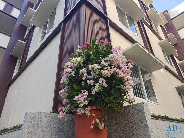 Best CBSE School in Saligramam, Chennai