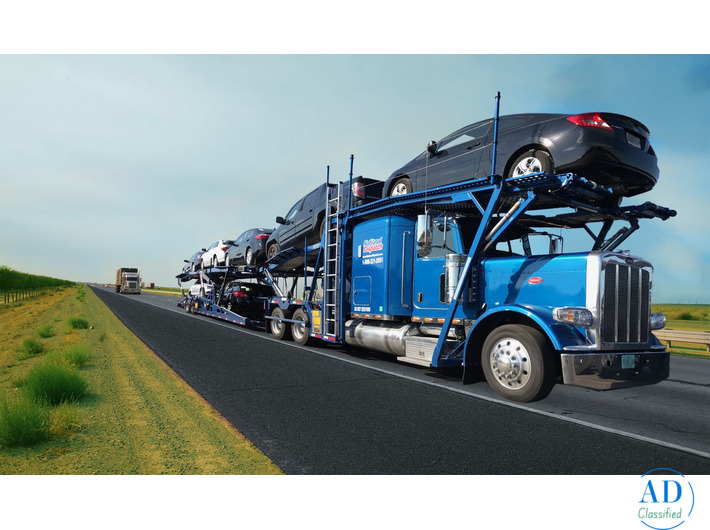 Best Car Shipping Services in South Carolina