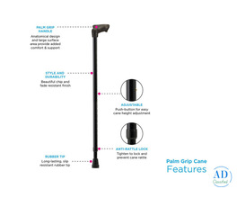 Walking Canes & Tips for Better Mobility