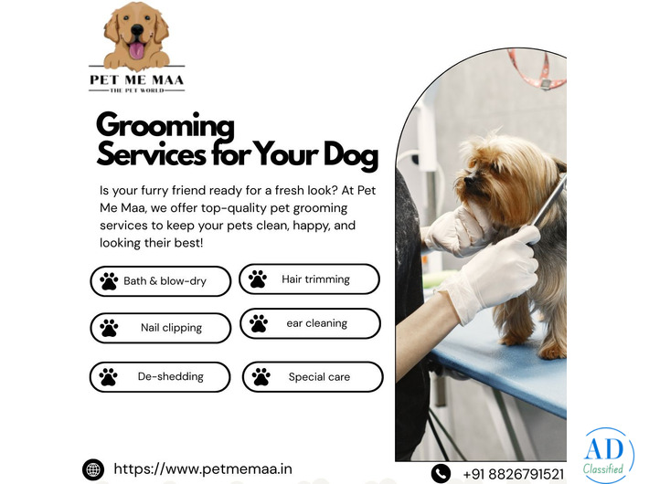 Pet Grooming Noida – Expert Grooming Services for Dogs | Meet Pet Me Maa