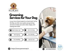 Pet Grooming Noida – Expert Grooming Services for Dogs | Meet Pet Me Maa