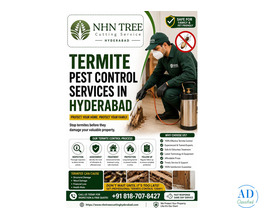 Termite Pest Control Services in Hyderabad – NHN Trees Cutting Hyderabad