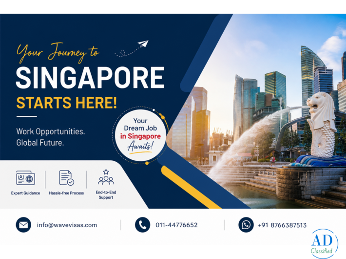 Singapore Work Visa Guide  : Employment Pass, S Pass & Eligibility Requirements