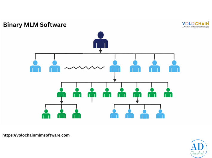 Best Binary MLM Software for Increased Profitability and Productivity