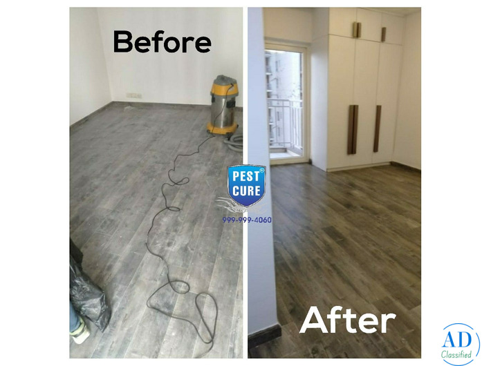 Pest Control Services Near Saket | Pest Cure