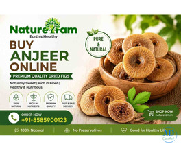 Buy Anjeer Online at Best Price | Premium Dried Figs – Naturefam