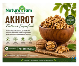Akhrot Dry Fruit Price – Buy Premium Walnuts Online at Best Price | Naturefam