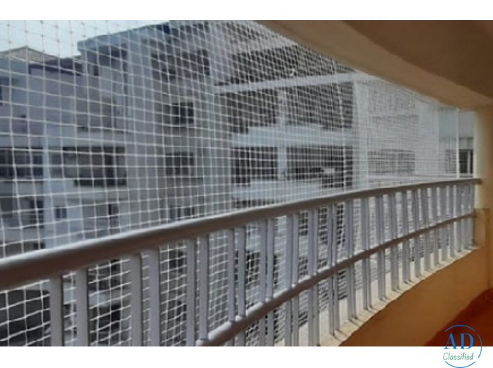 Abseiling Bird Control Services for High-Rise Buildings