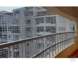 Abseiling Bird Control Services for High-Rise Buildings