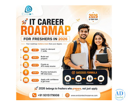IT Career Roadmap for Freshers in   - Evision Technoserve