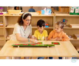 Diploma in Teacher Training Courses