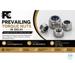 Prevailing Torque Nuts in Delhi