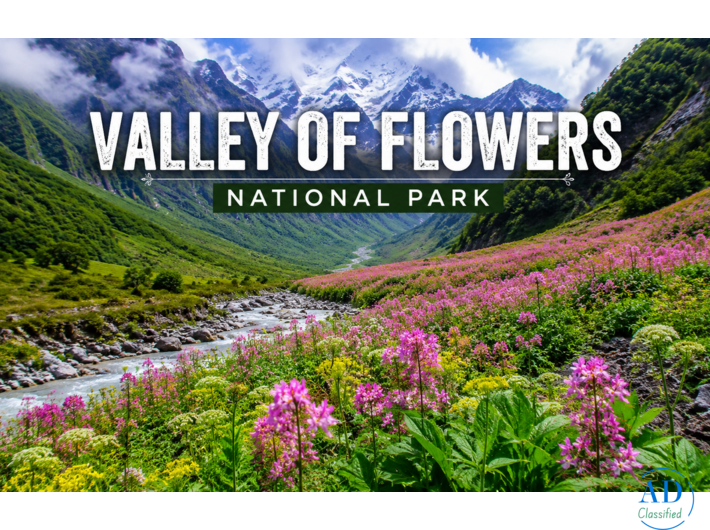 GoCapcy – Valley of Flowers Trek Experts You Can Trust