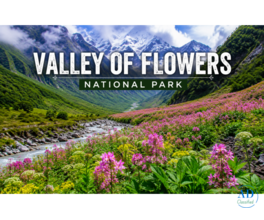 GoCapcy – Valley of Flowers Trek Experts You Can Trust