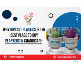 Plastic Planters Supplier Near Me