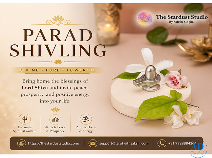 Buy Original Parad Shivling Online at The Stardust Studio