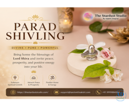 Buy Original Parad Shivling Online at The Stardust Studio