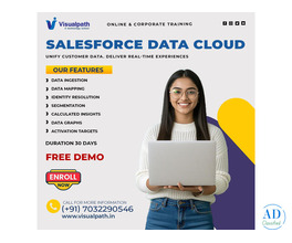 Best Salesforce Data Cloud Online Training | Online Course