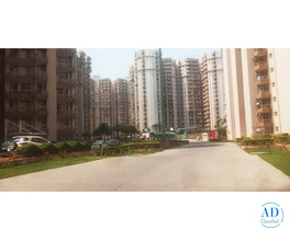 Looking for an apartment on rent in Noida? Check out Supertech Capetown apartments