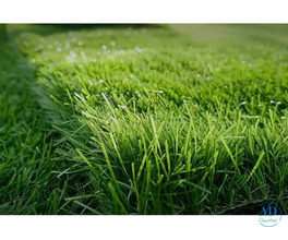 High-Quality Synthetic Sports Grass Melbourne | JL Turf Group
