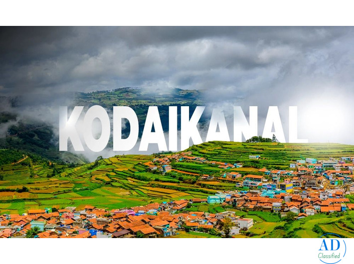 Best Tours and Travels in Kodaikanal – Peter Holidays