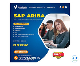 Ariba Training in Hyderabad | SAP Ariba Course
