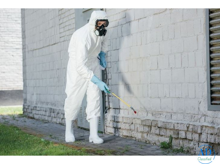 Exterminator From One Roof Fumigation Services