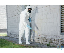 Exterminator From One Roof Fumigation Services