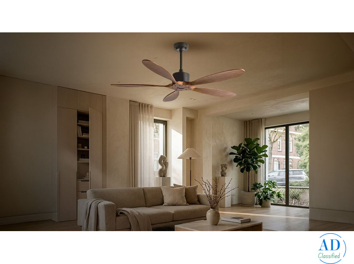 High Quality Aesthetic Designer Fan