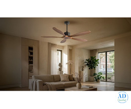 High Quality Aesthetic Designer Fan