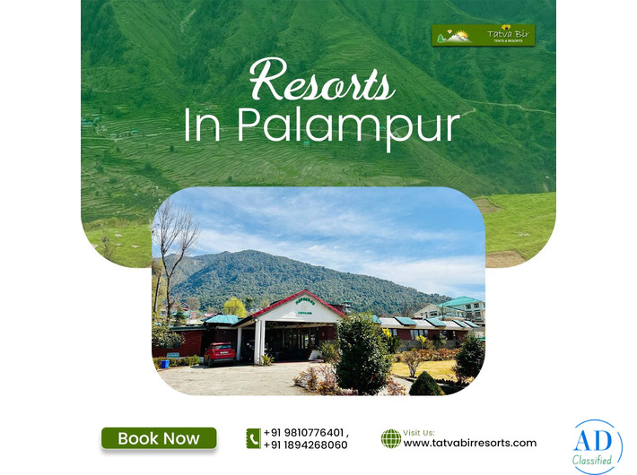 Resorts in Palampur for Luxury and Nature