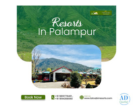 Resorts in Palampur for Luxury and Nature