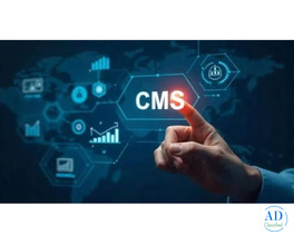 Cms Website Designing Greater Noida