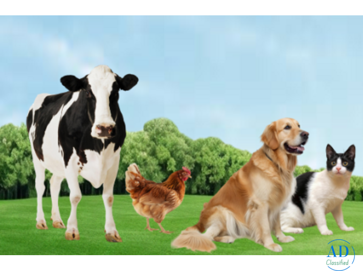 Veterinary Nutrition Manufacturer for Animal Health Needs