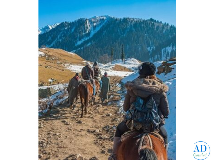 Plan Your Leh Ladakh Adventure – Book Today