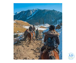 Plan Your Leh Ladakh Adventure – Book Today
